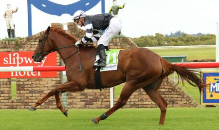 jockey9.jpg