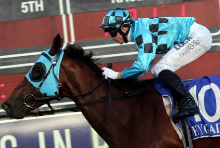 jockey18.jpg