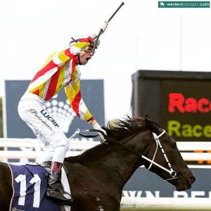 jockey6.jpg