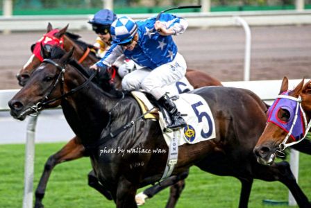 jockey11.jpg