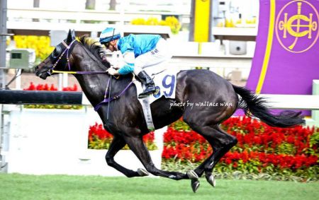 jockey14.jpg