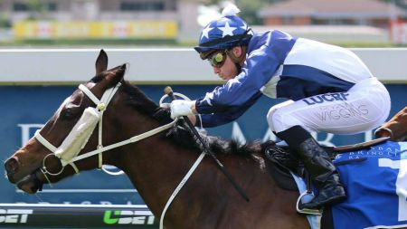 jockey16.jpg