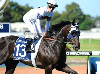 jockey10.jpg